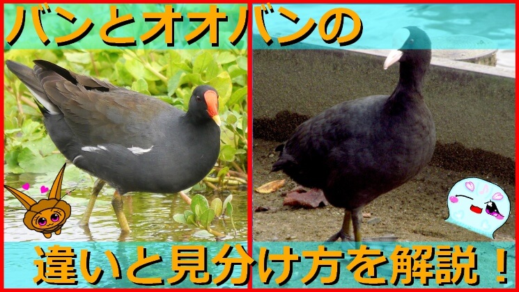 Thumbnail of post image 151